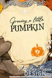 Growing a little Pumpkin SVG, Cute Fall Pregnancy SVG, Fall Maternity SVG files,, Twin Pregnancy SVG reveal Shirt for fall, Fall Autumn Maternity SVG Cricut SVG Silhouette SVG SVG Files for Cricut, Cricut Projects Cricut Project Ideas Simply Crafty SVG Bundles for Cricut, SVG Design Bundles Vectors | Amber Price Design