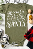 Special Delivery from Santa SVG, Christmas SVG, New Baby onesie SVG, Santa Bag SVG, DIY Kid's Christmas Stocking SVG, winter SVGs cut file DIY festive Holiday home decor SVGs, silhouette projects vector files SVG Silhouette SVG SVG Files for Cricut Project Ideas Simply Crafty SVG Bundles Vector | Amber Price Design
