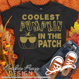 Coolest pumpkin in the patch SVG, Super cute Kid's Fall SVG Pumpkin SVG, for DIY October SVG cut file for cricut, silhouette DXF and PNG also included. EPS by request. Cute Unique sublimation file. Cricut SVG Silhouette Files for Cricut Project Ideas Simply Crafty SVG Bundles Design Bundles, Vector | Amber Price Design