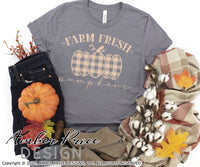 Farm Fresh Pumpkins SVG, Super cute women's Fall SVG, for DIY shirt, October SVG cut file for cricut, silhouette, DXF and PNG also included. EPS by request. Cute and Unique sublimation file. Cricut SVG Silhouette Files for Cricut Project Ideas, Simply Crafty SVG Bundles Design Bundles, Vectors | Amber Price Design