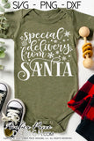 Special Delivery from Santa SVG, Christmas SVG, New Baby onesie SVG, Santa Bag SVG, DIY Kid's Christmas Stocking SVG, winter SVGs cut file DIY festive Holiday home decor SVGs, silhouette projects vector files SVG Silhouette SVG SVG Files for Cricut Project Ideas Simply Crafty SVG Bundles Vector | Amber Price Design 